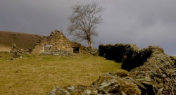 wall